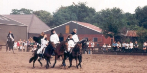 uitvoering95